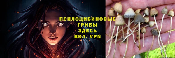 кокс Нягань