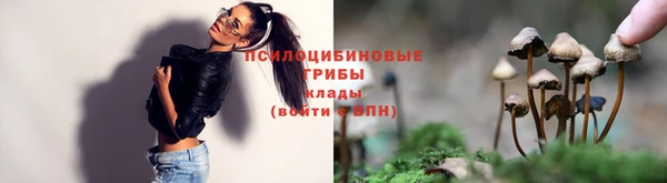 дмт Няндома