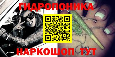 скорость Берёзовский
