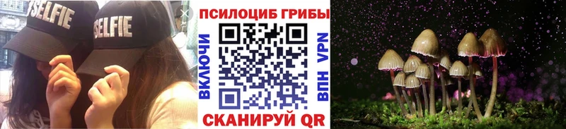 где купить   Грязи  Галлюциногенные грибы мухоморы 