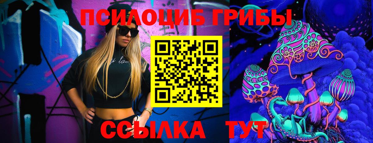 Галлюциногенные грибы Magic Shrooms  Грязи  Псилоцибиновые грибы прущие грибы 
