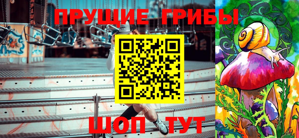 Галлюциногенные грибы Psilocybine cubensis Грязи