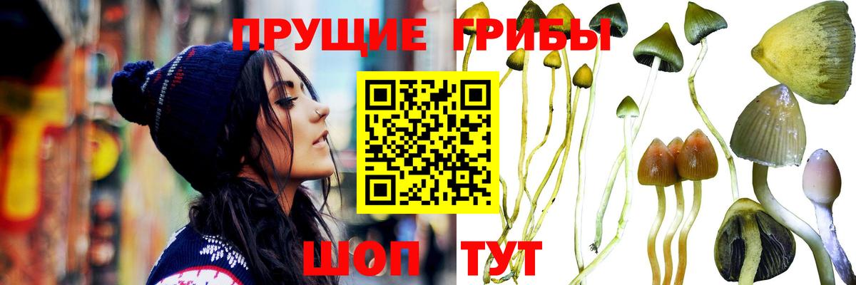 Галлюциногенные грибы ЛСД Грязи